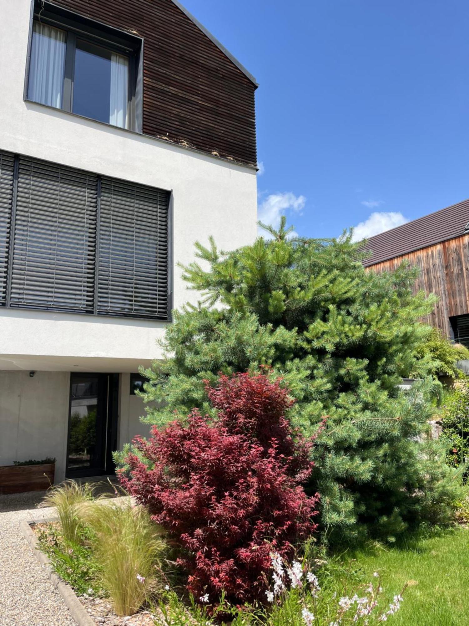 Chambre Double 2 P Luxe Aux Vignes Lovees, Entree Independante Riquewihr Exteriér fotografie